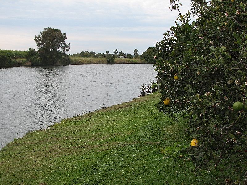 277 South Bank Road, Palmers Channel NSW 2463