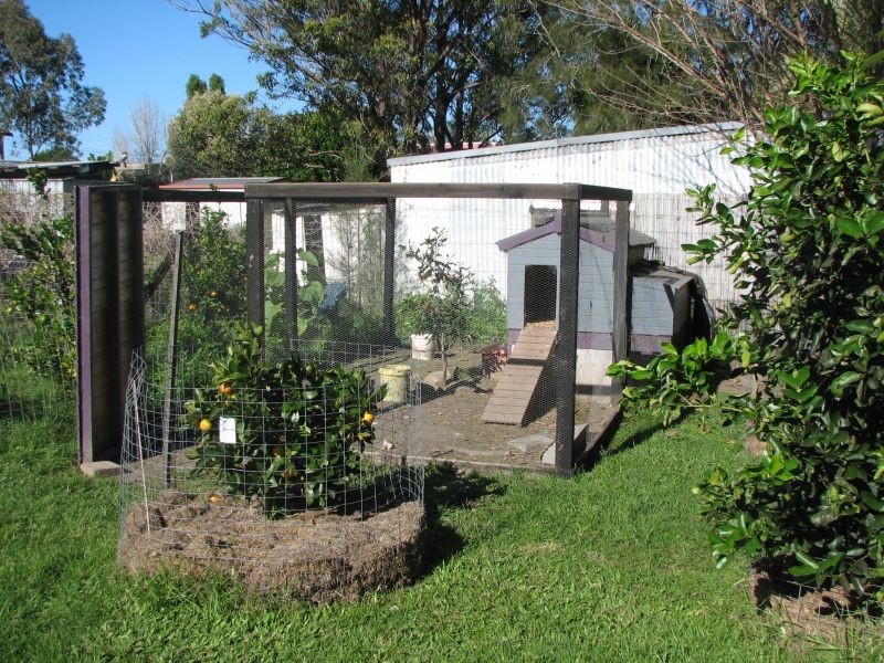 6 Carrington Street, Palmers Island NSW 2463