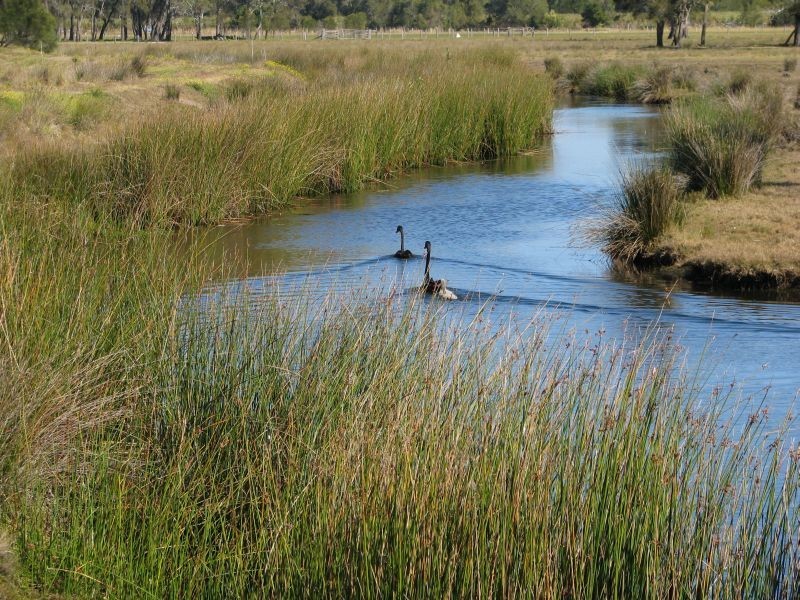 Lots 10 North Bank Road, Palmers Island NSW 2463