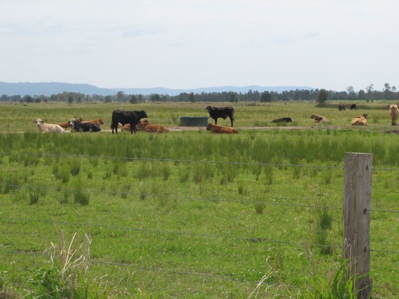 Lots 10 North Bank Road, Palmers Island NSW 2463