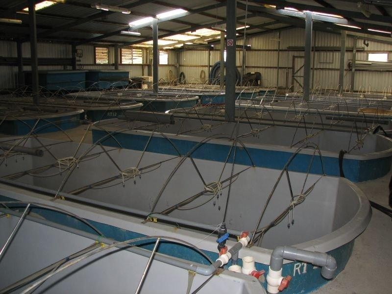 613 Goodwood Island Road, Goodwood Island NSW 2469