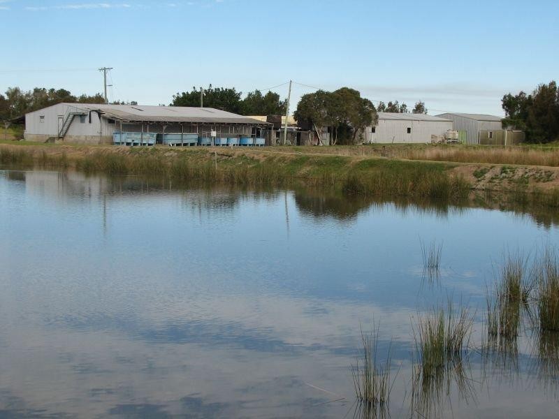 613 Goodwood Island Road, Goodwood Island NSW 2469