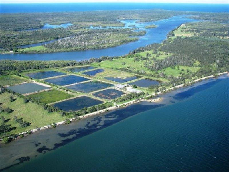 613 Goodwood Island Road, Goodwood Island NSW 2469