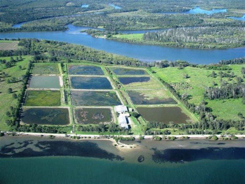 613 Goodwood Island Road, Goodwood Island NSW 2469