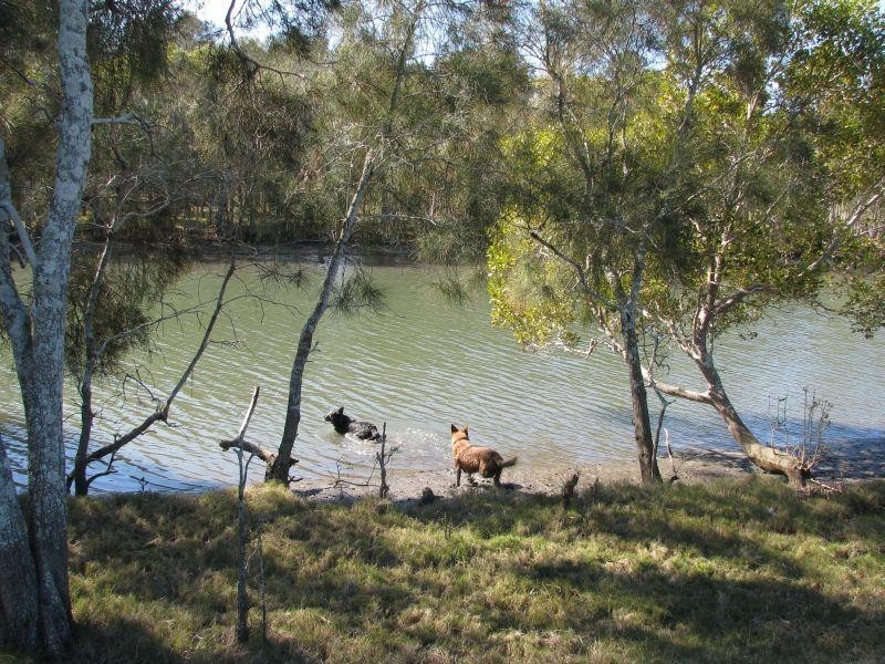 Palmers Island NSW 2463