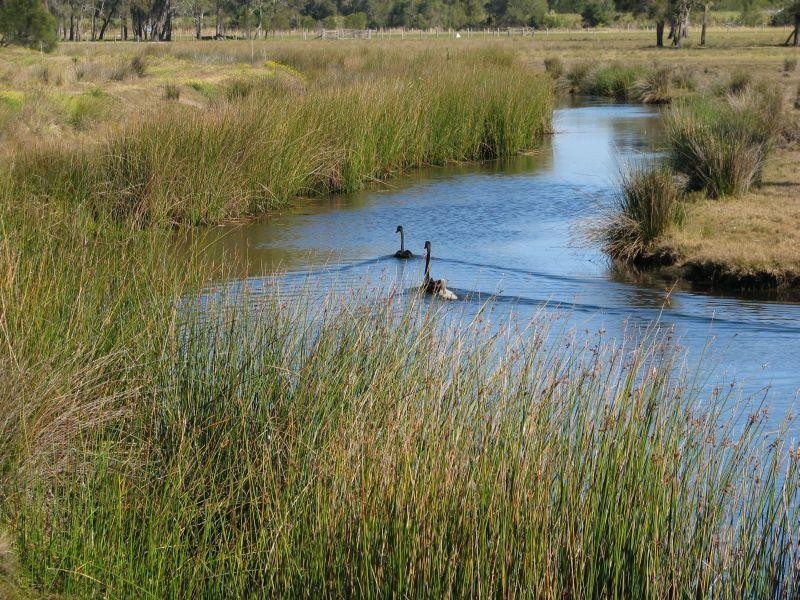 Palmers Island NSW 2463