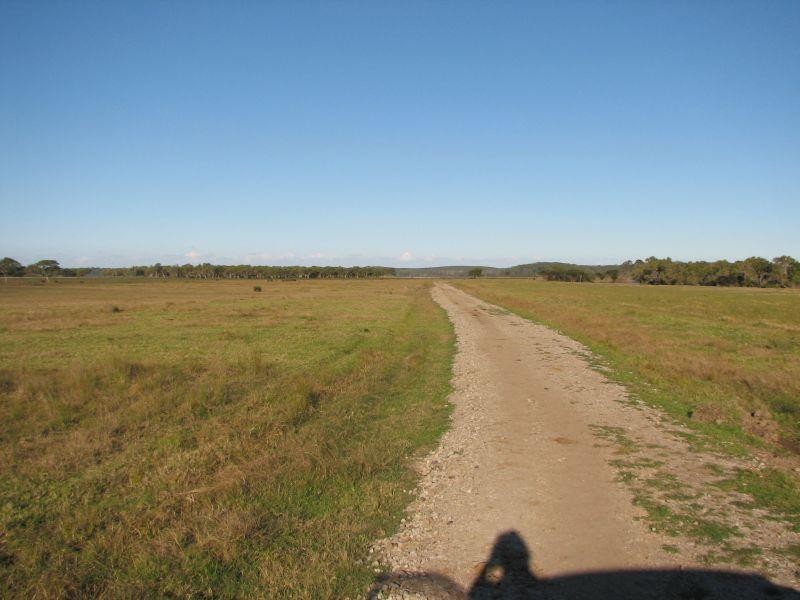 Palmers Island NSW 2463