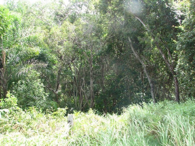 91 Lakes Boulevard, Wooloweyah NSW 2464