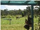 434 Broomshead Road, Gulmarrad NSW 2463