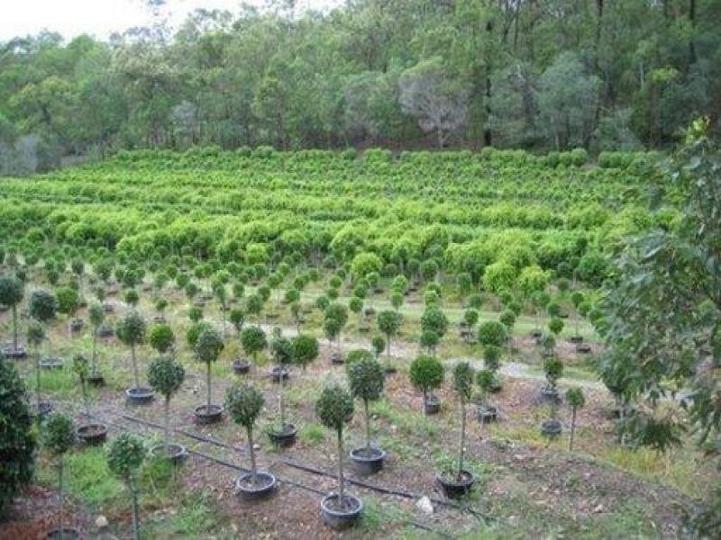 Mount Cotton QLD 4165