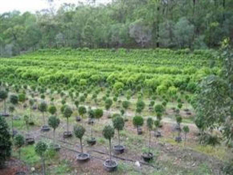 Mount Cotton QLD 4165