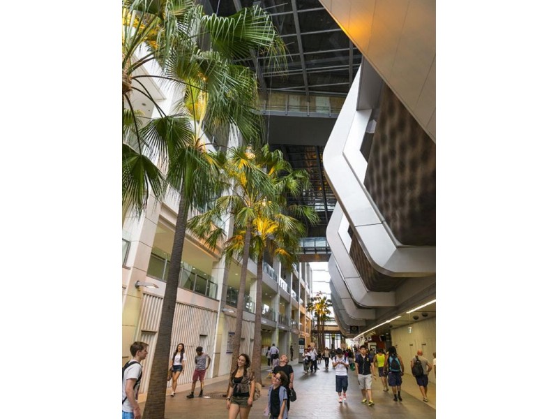 V1003/436 Victoria Avenue, Chatswood NSW 2067