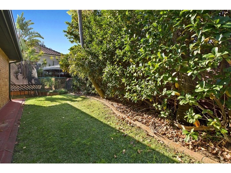 36 Wyalong Street, Willoughby NSW 2068