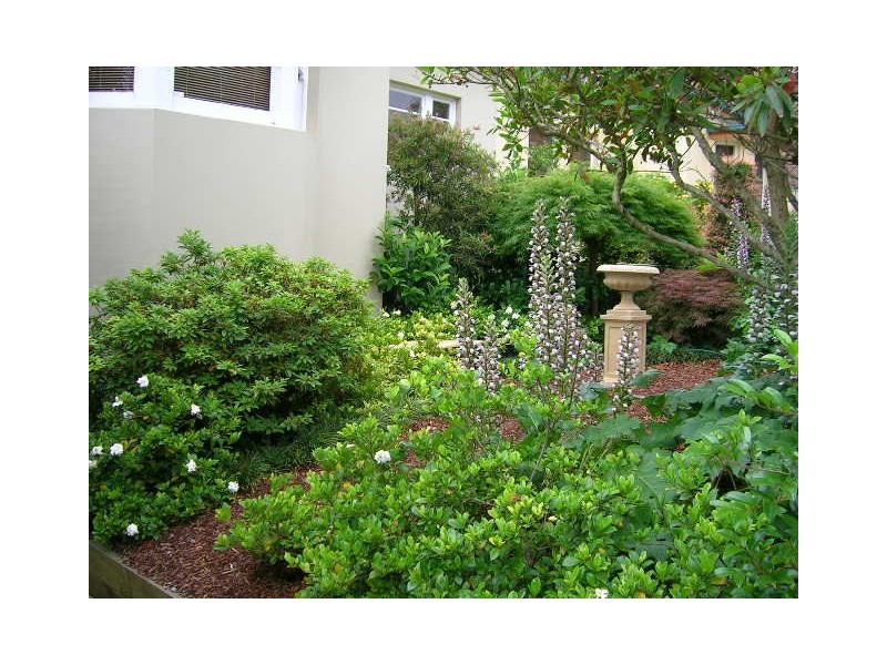 26 Tulloh Street, Willoughby NSW 2068