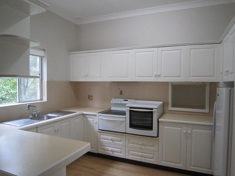 36 Penkivil Street, Willoughby NSW 2068