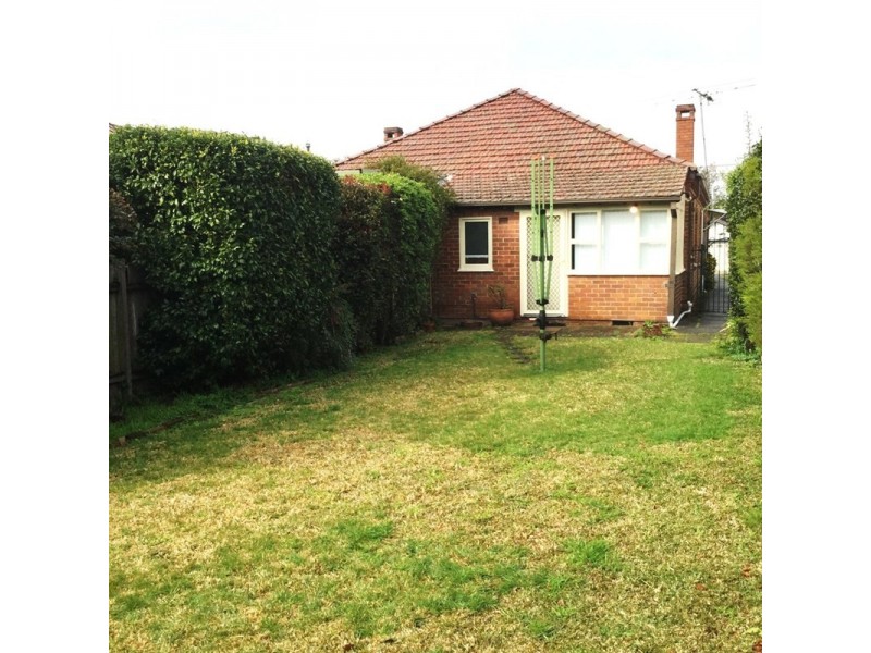 13A Crabbes Avenue, Willoughby NSW 2068