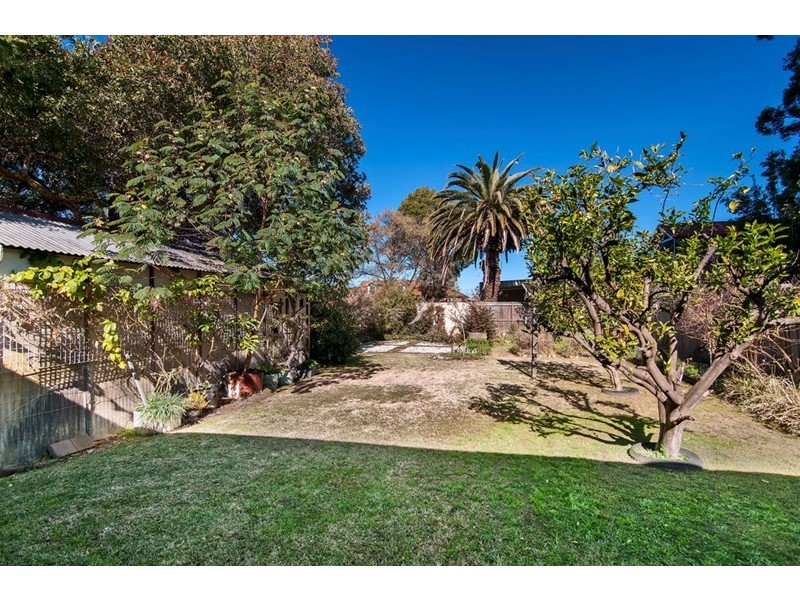 34a Forsyth Street, Willoughby NSW 2068