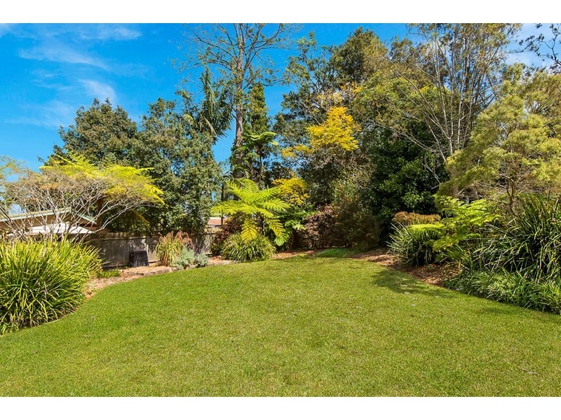 17 Sylvia Street, Chatswood NSW 2067