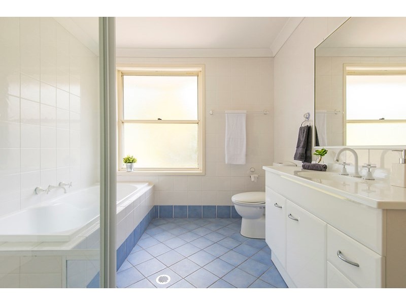 17 Sylvia Street, Chatswood NSW 2067