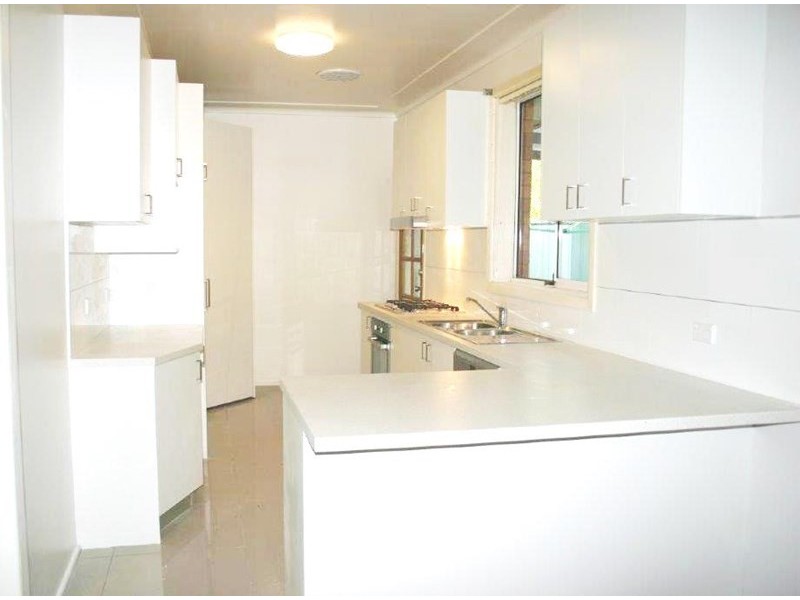 20 Ryrie Avenue, Forestville NSW 2087