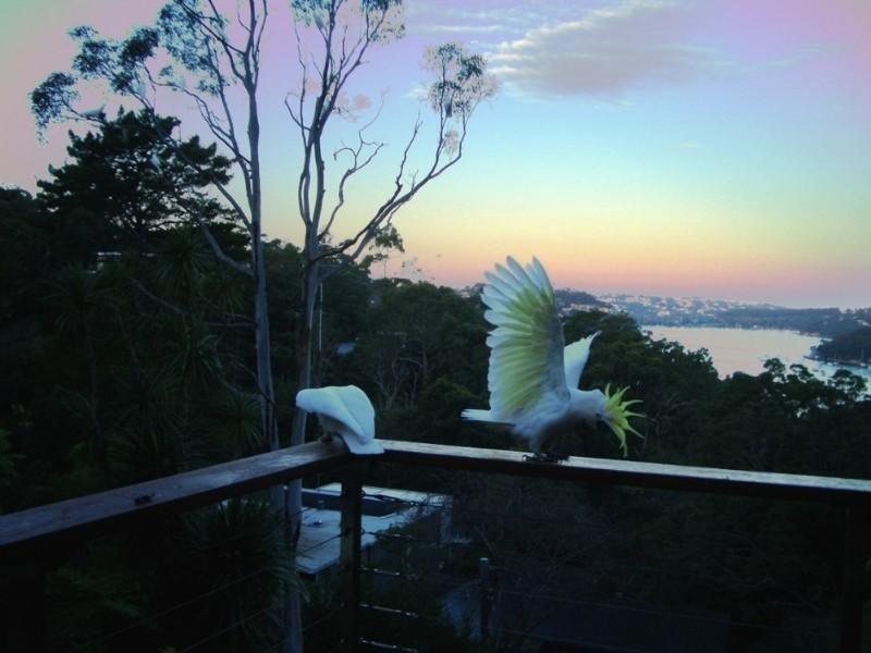 91 The Bulwark, Castlecrag NSW 2068