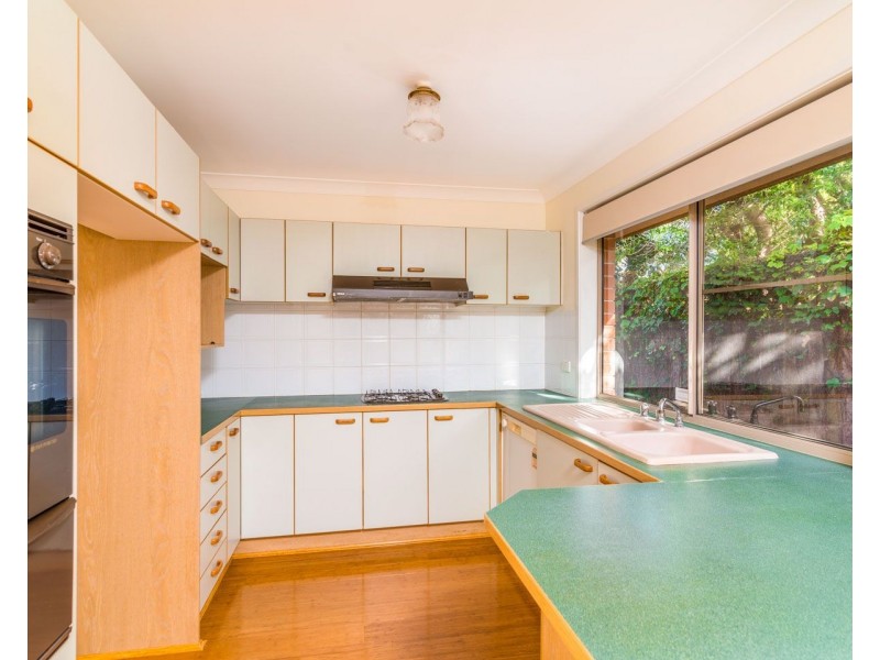 6A Tyneside Avenue, Willoughby NSW 2068