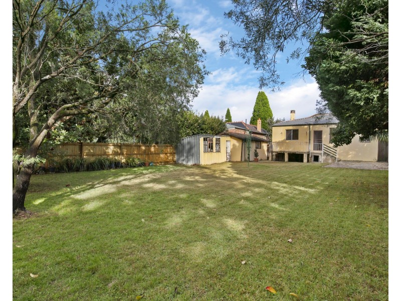 39 Ann Street, Willoughby NSW 2068