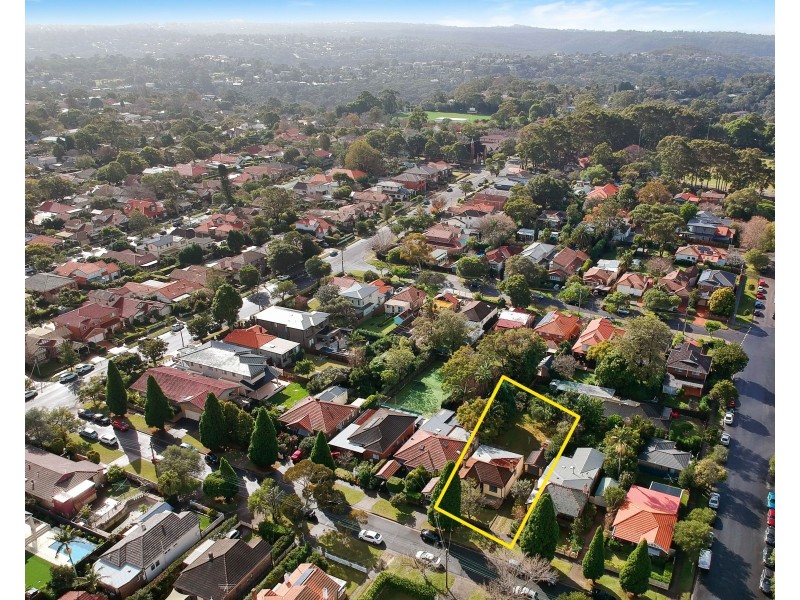 39 Ann Street, Willoughby NSW 2068