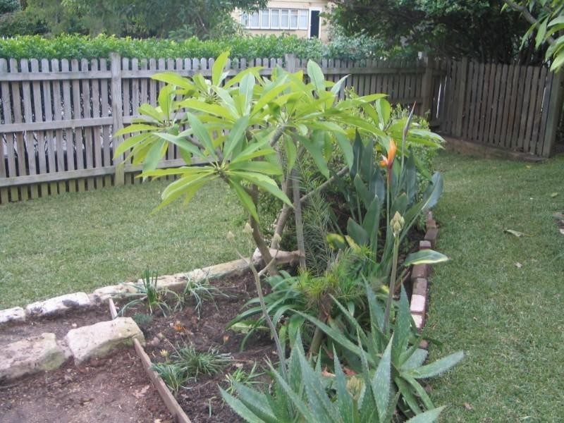 174a Mowbray Road, Willoughby NSW 2068