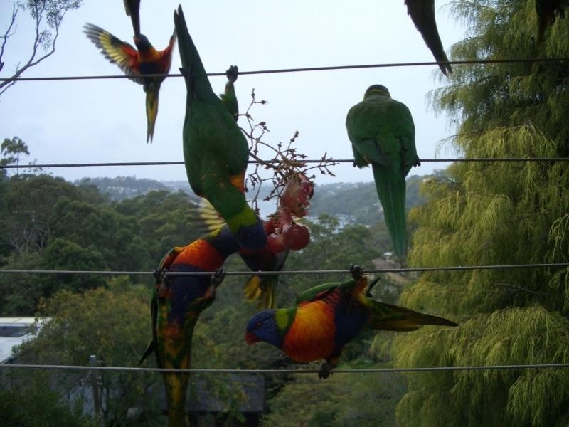 91 The Bulwark, Castlecrag NSW 2068