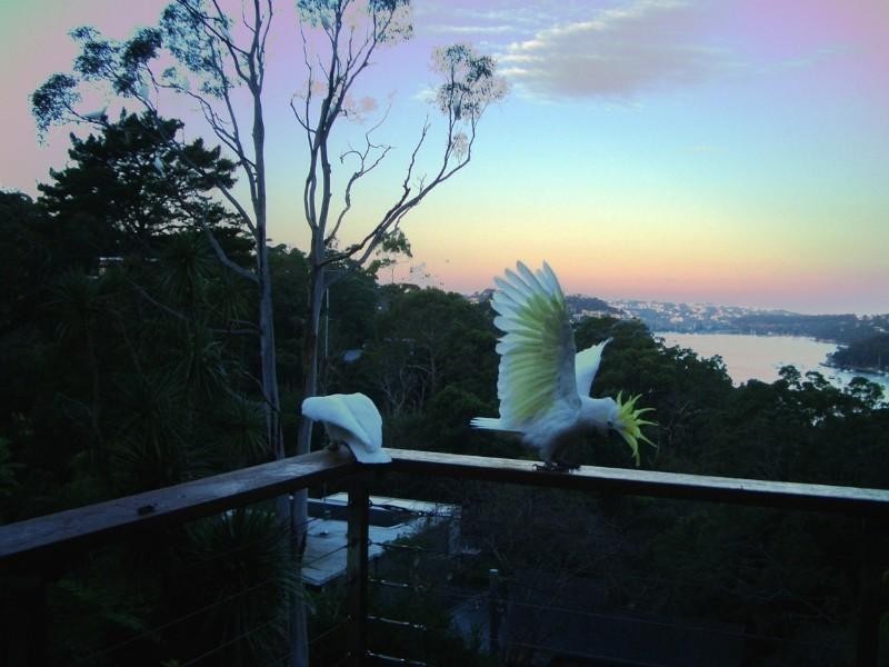 91 The Bulwark, Castlecrag NSW 2068