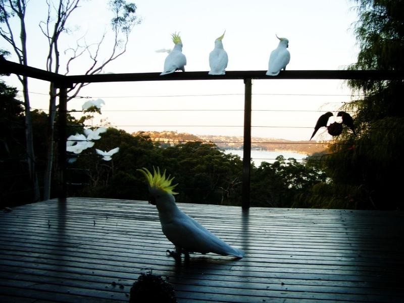 91 The Bulwark, Castlecrag NSW 2068