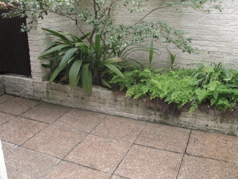 10/2 Artarmon Road, Willoughby NSW 2068