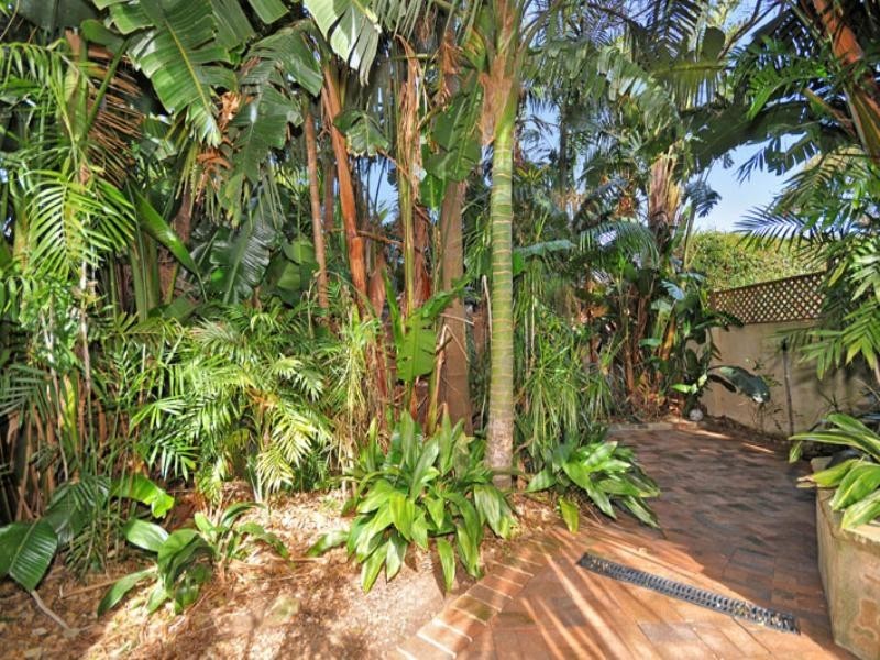 68 Edinburgh Road, Willoughby NSW 2068