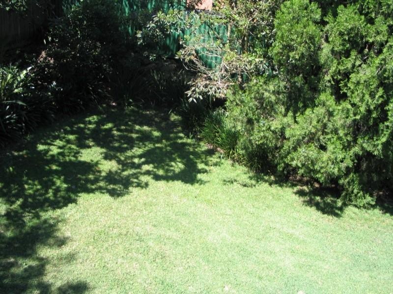 31 Marlborough Road, Willoughby NSW 2068