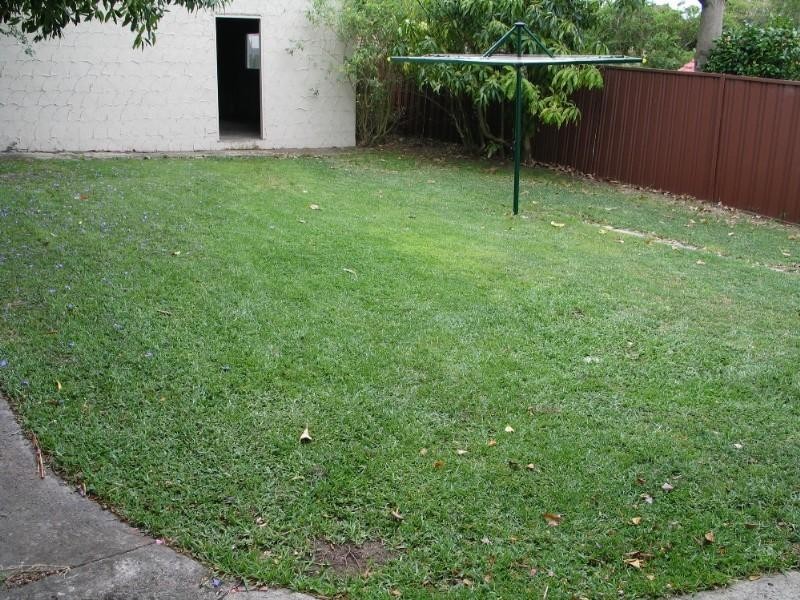 23 Gorman Street, Willoughby NSW 2068