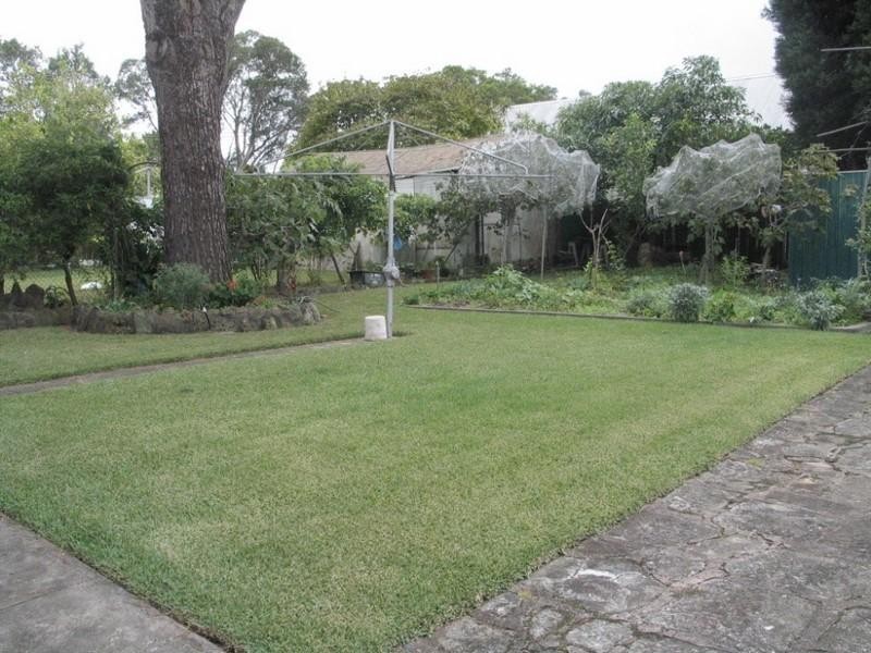 229 High Street, Willoughby NSW 2068