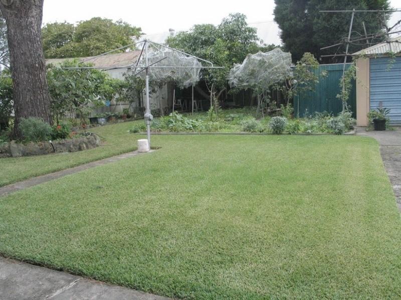 229 High Street, Willoughby NSW 2068