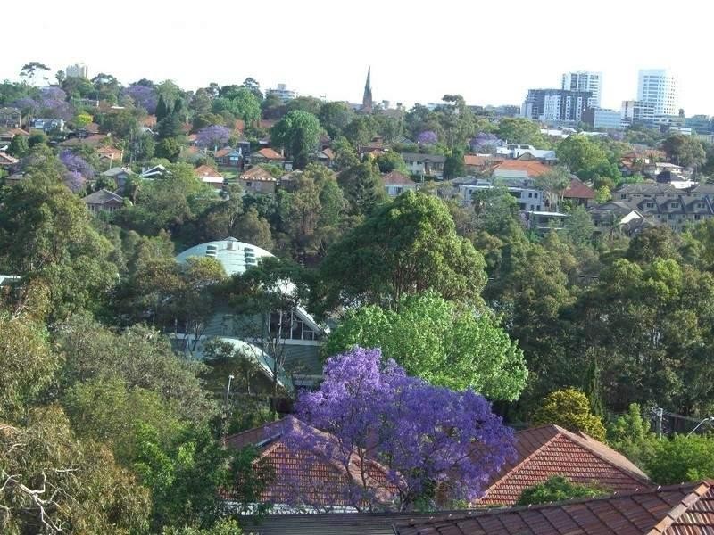 1 Pendey Street, Willoughby NSW 2068