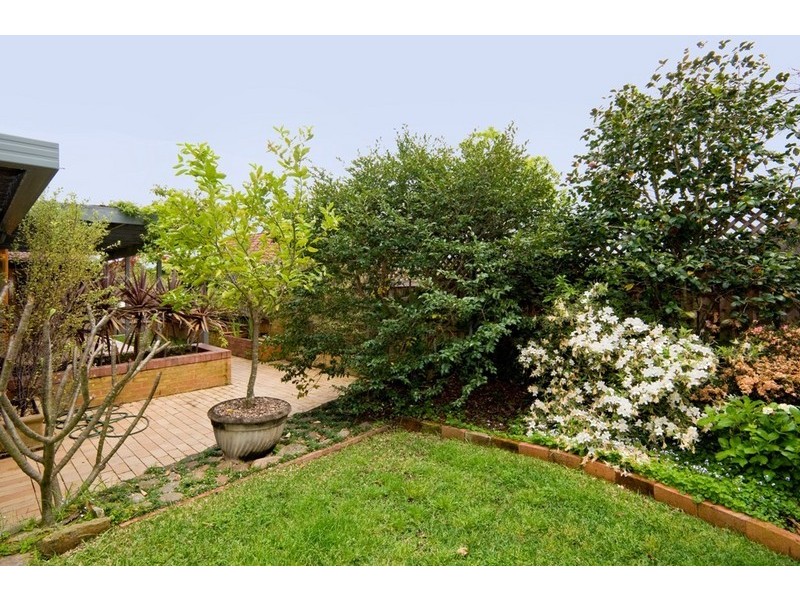 17 Douglas Avenue, Chatswood NSW 2067