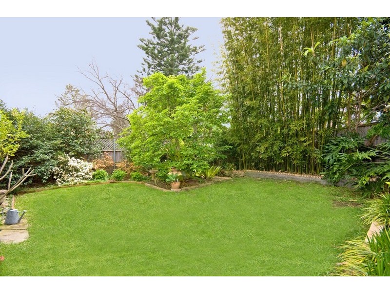 17 Douglas Avenue, Chatswood NSW 2067