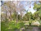 31 Height Crescent, Willoughby NSW 2068