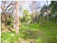 31 Height Crescent, Willoughby NSW 2068