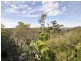 31 Height Crescent, Willoughby NSW 2068
