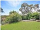 41 Smith Avenue, Allambie Heights NSW 2100