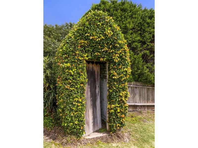 7 Cobar Street, Willoughby NSW 2068