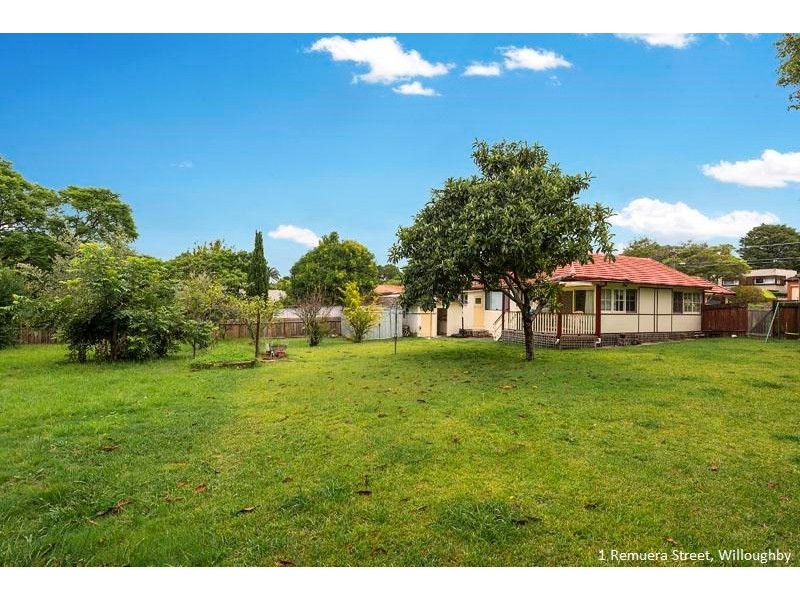 1 Remuera Street, Willoughby NSW 2068
