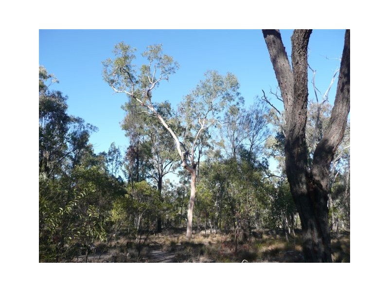 29 Vickery Road, Tara QLD 4421