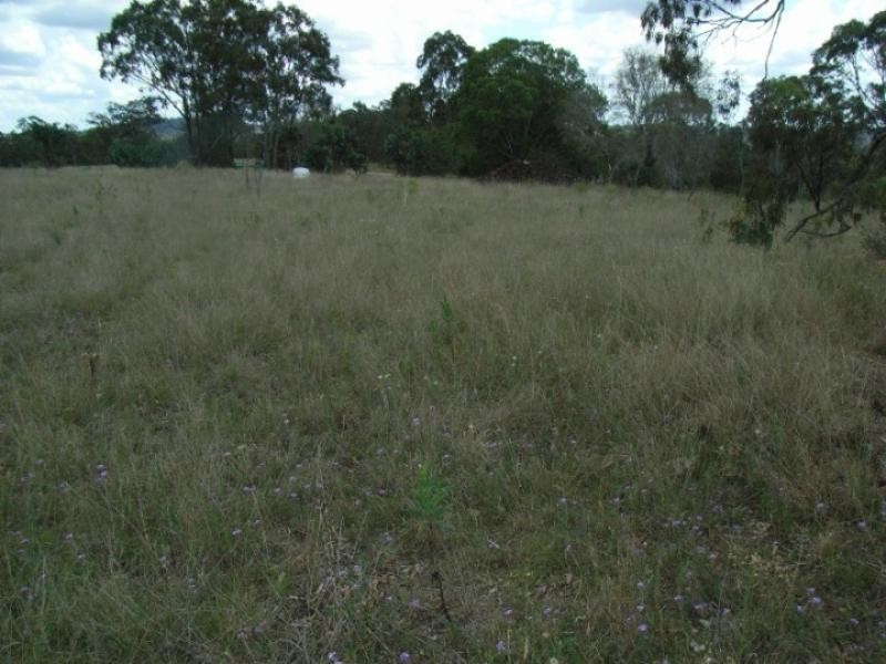Lot 15 Paton Road, Meringandan QLD 4352