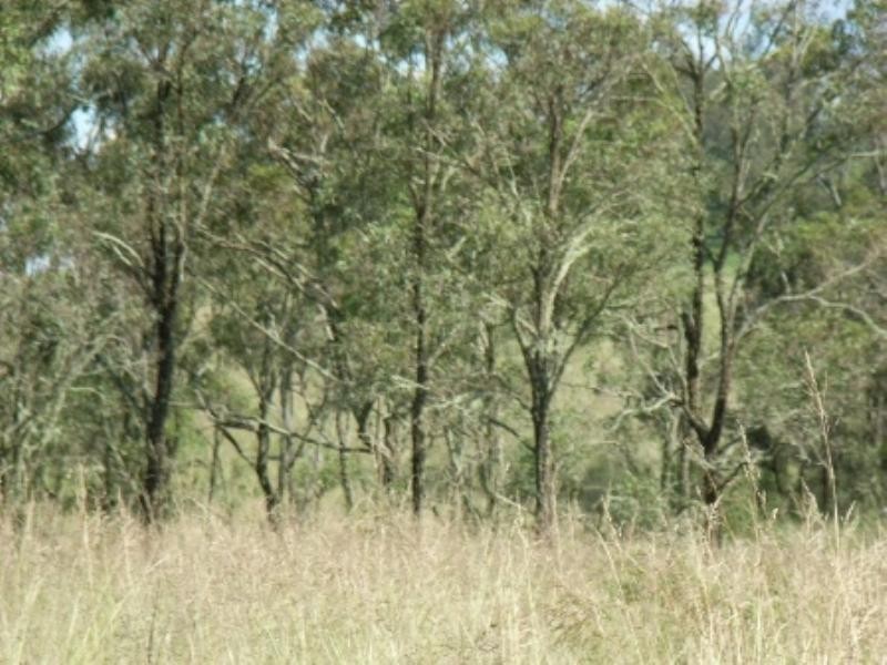 Lot 144 Reinke Road, Haden QLD 4353